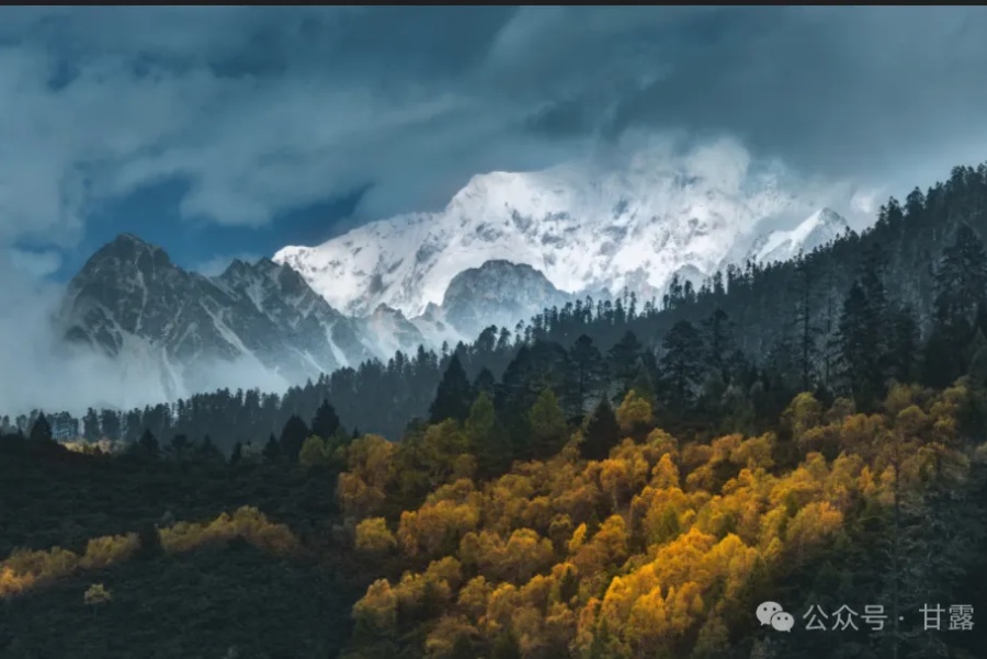 1760067927917326.jpg 640.jpg