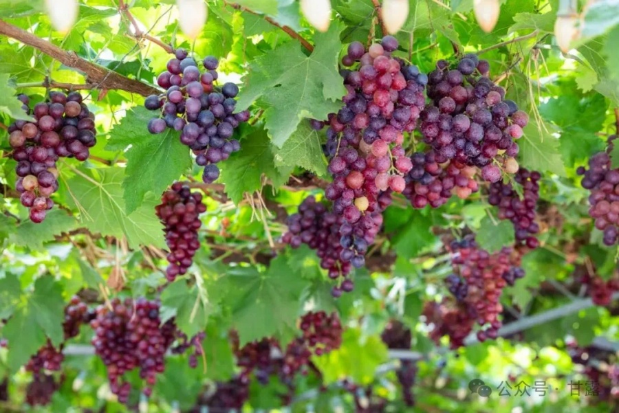 1760067968544347.jpg 640 (2).jpg